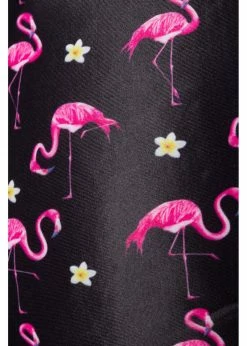 Belsira Summer Flamingo High Bikini Briefs Black -succubu shop belsira 50194 summer flamingo bikini bottom blk 0 b317469d 1744 4863 8847 e0ffbef6627d 1024x1024